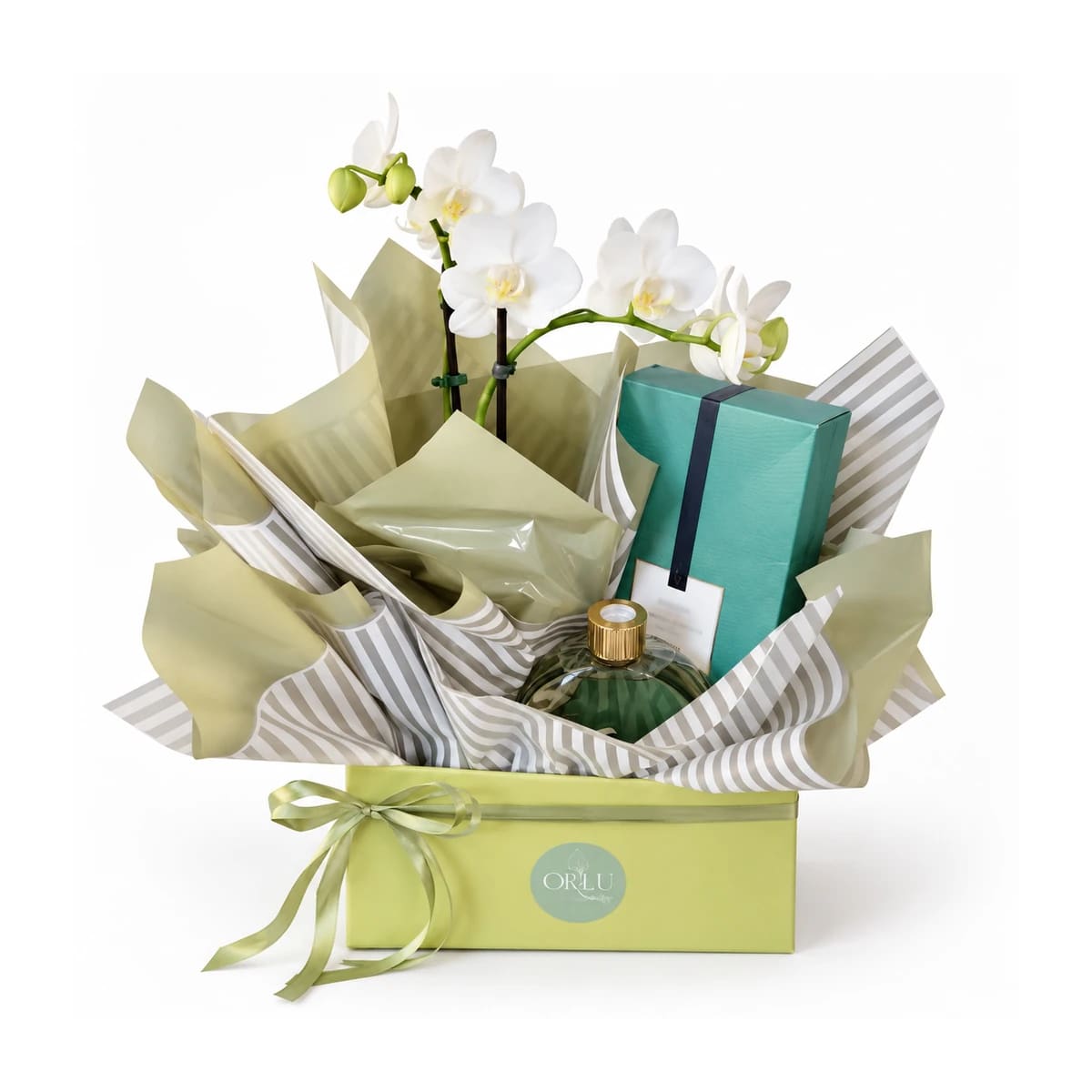 Kit de mini orquídeas e aromas